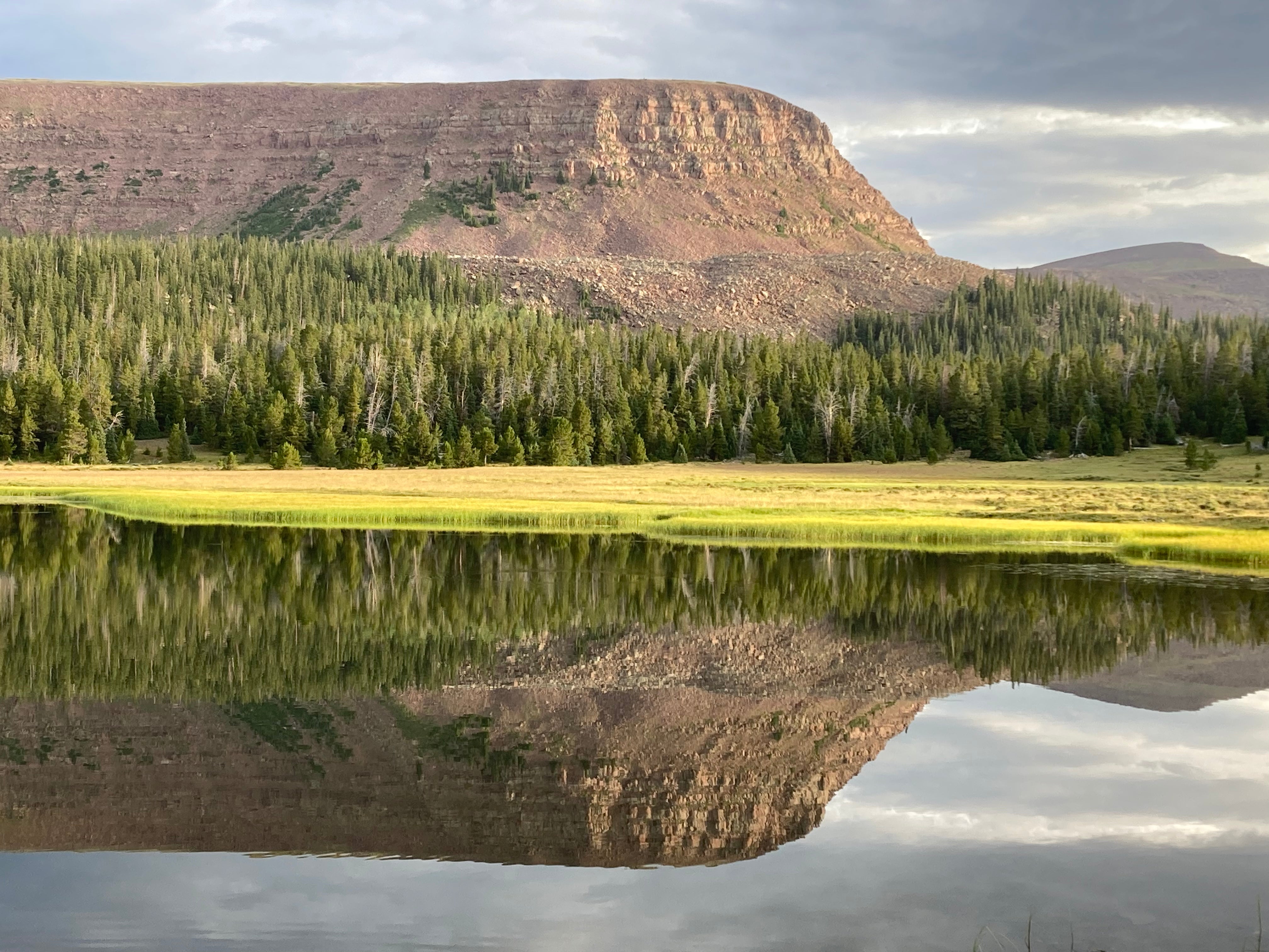 Give Away – Lightning Spring Ranch