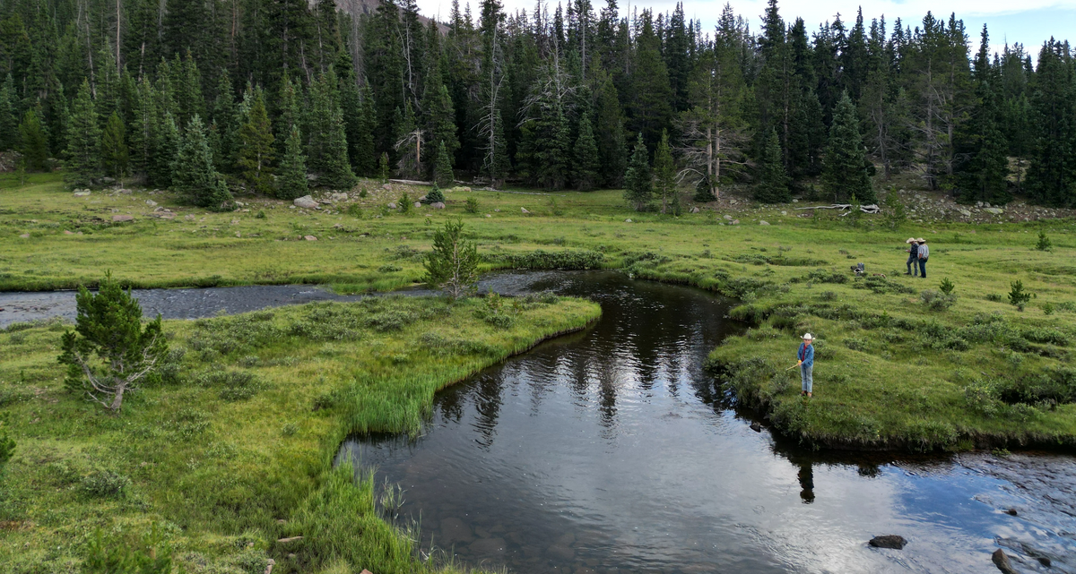 Lightning Springs Ranch – Lightning Spring Ranch